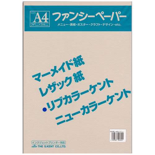 リブカラー色画用紙　Ａ４　１０枚入り　ライトグレー