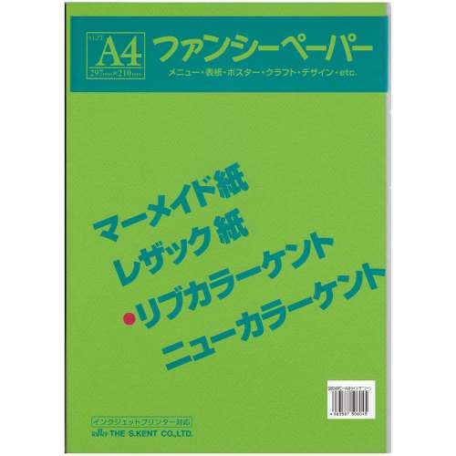 リブカラー色画用紙　Ａ４　１０枚入り　ライトグリーン