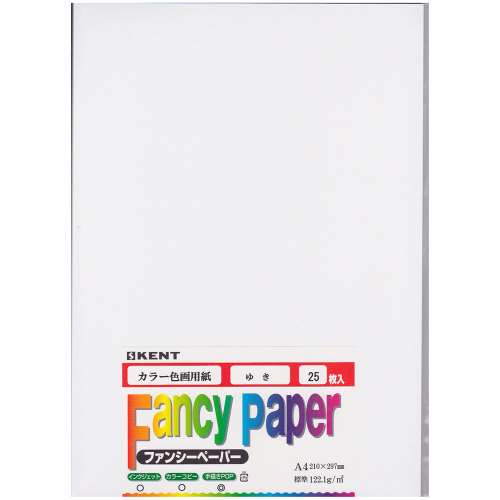 色画用紙　Ａ４　２５枚入り　ゆき