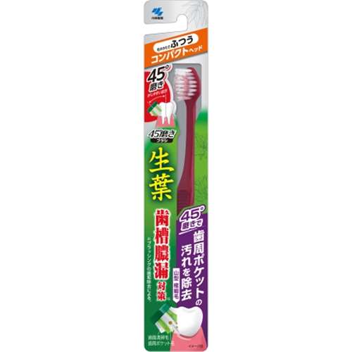 小林製薬 生葉45°磨きブラシ　コンパクト　ふつう