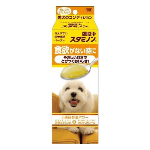 チョイスプラススタミノン　食欲がない時に　やさしい甘さでとびつくおいしさ！４０ｇ