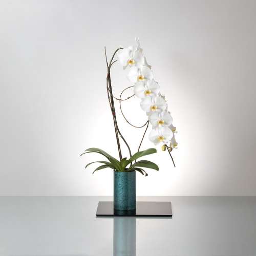 フォアスSOSO 白 紀州漆丸形花器