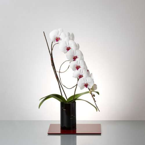 フォアスSOSO 赤リップ 紀州漆丸形花器