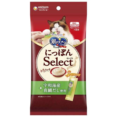 銀のスプーン　にっぽんSelect　とろりっち　宇和海産真鯛だし使用48ｇ