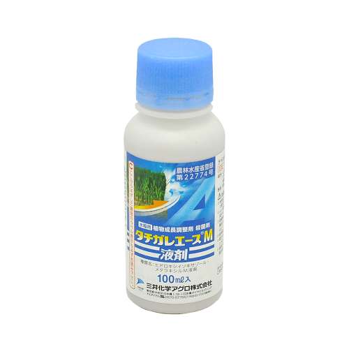タチガレエースＭ液剤　１００ｍｌ