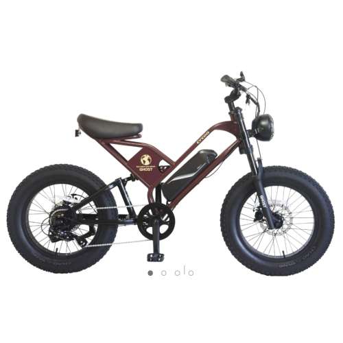 ２０インチ　サイクーゴースト 　電動アシスト自転車　外装7段 LEDバッテリーライト　ヴィンテージブラウン
