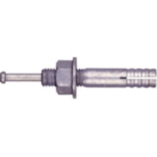 サンコーテクノ テクノ オールアンカーC-Dタイプ 溶融亜鉛めっき ミリねじ M10