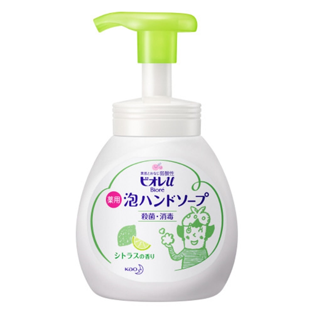 キレイキレイ 薬用泡ハンドソープ フルーツミックス つめかえ用大型 ４５０ｍｌ(つめかえ用大型 ４５０ｍｌ): 日用 消耗品|ホームセンターコーナンの通販サイト
