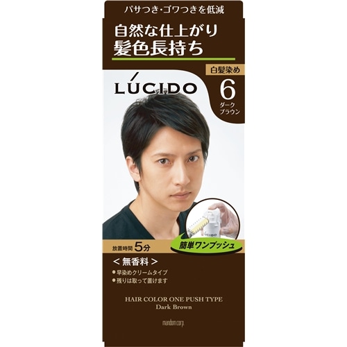 ルシード　ワンプッシュケアカラー　（医薬部外品）　６　ダークブラウン