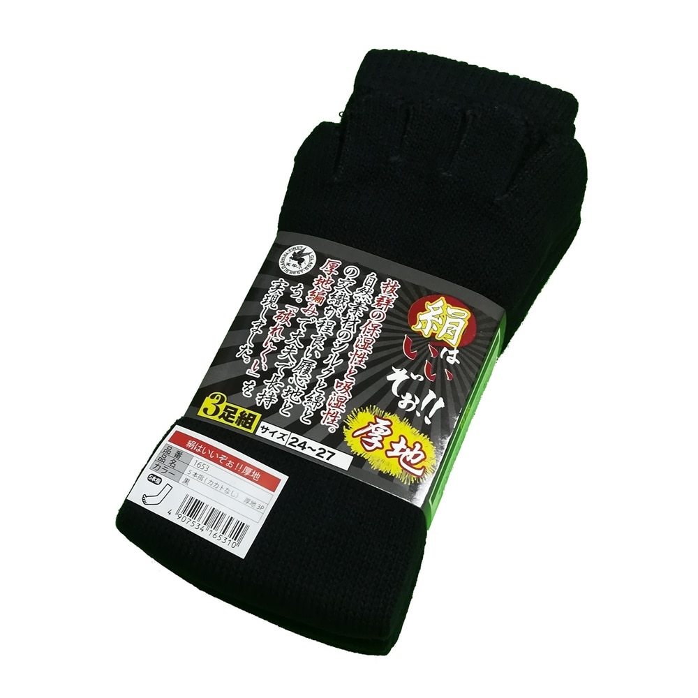 フジテ 絹はいいぞ厚地　５本指　３足組　黒　１６５３