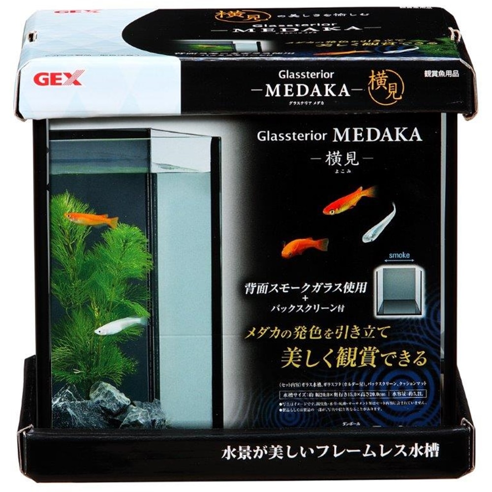 ジェックス　グラステリアメダカ横見