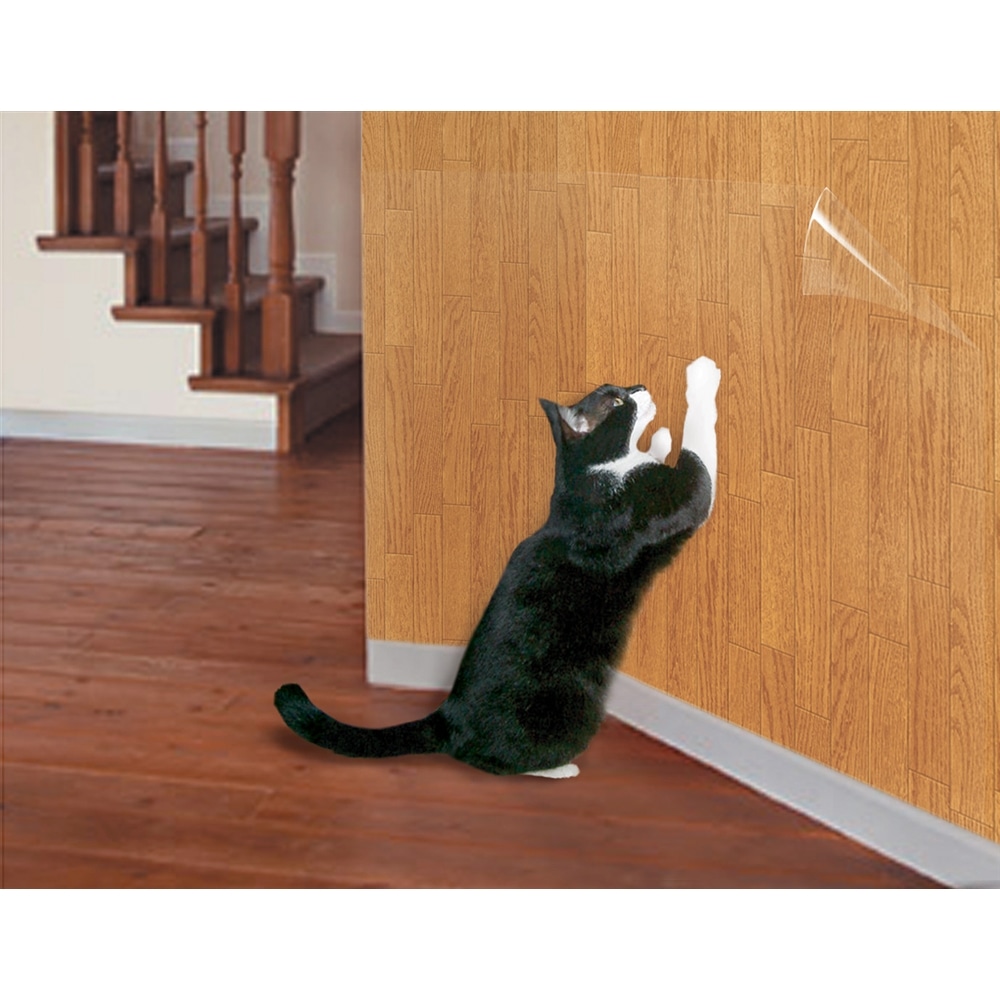 明和グラビア ツメ傷保護シート 透明 粘着タイプ In 4601 透明 ペット ホームセンターコーナンの通販サイト