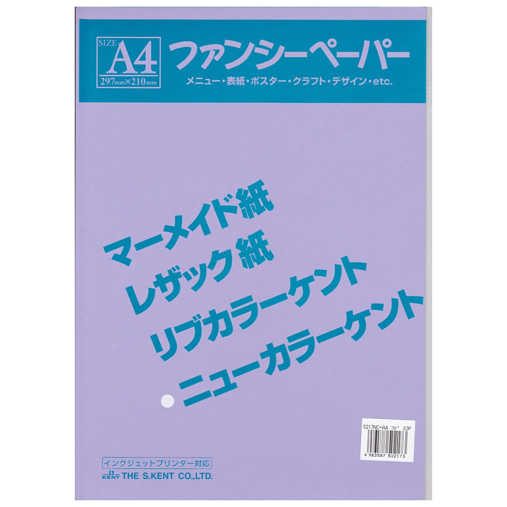 色画用紙　Ａ４　１０枚入り　ふじ Ａ４　１０枚入り　ふじ