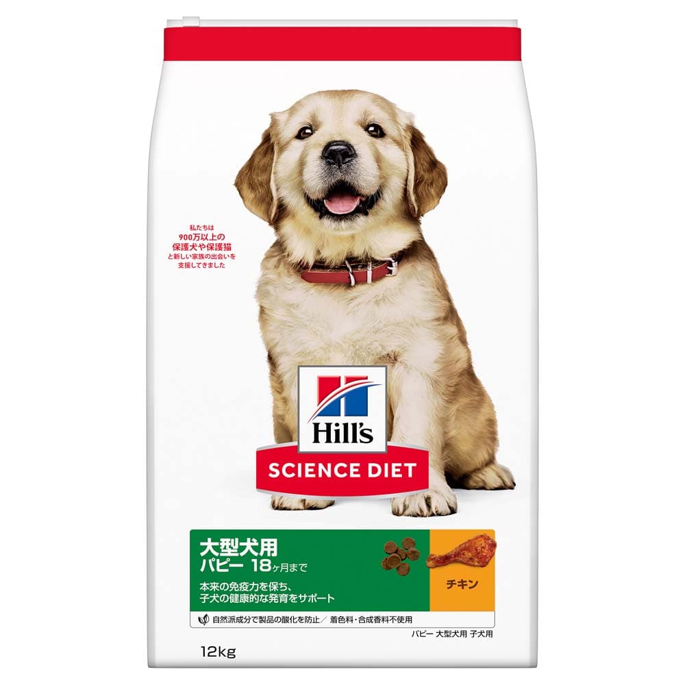 犬のためのローフードダイエットの長所と短所