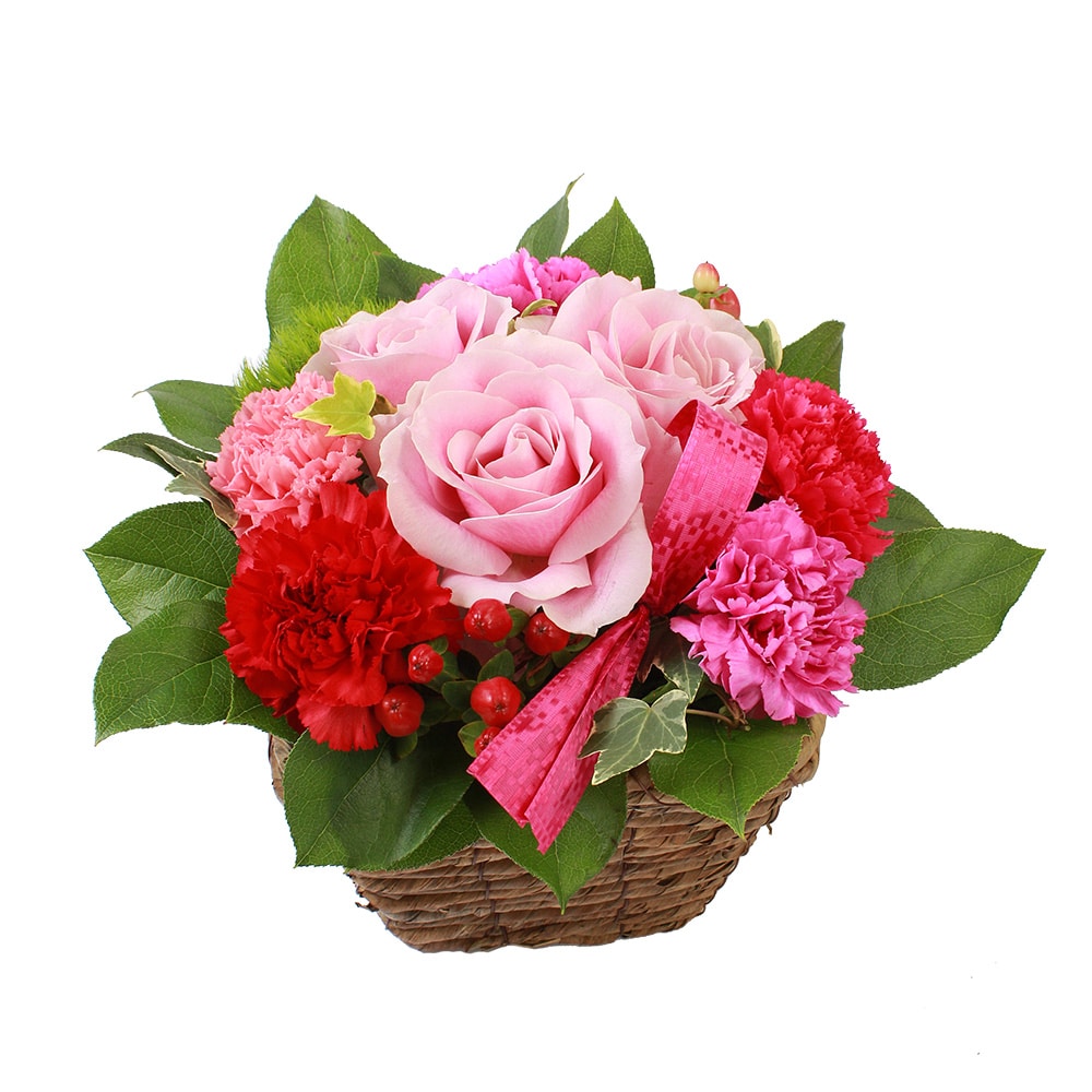 母の日フラワーギフト ホームセンターコーナンの通販サイト