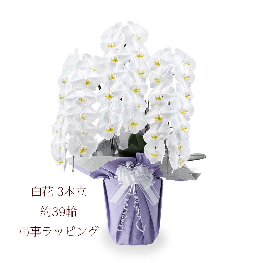 フラワーギフトカタログ ホームセンターコーナンの通販サイト