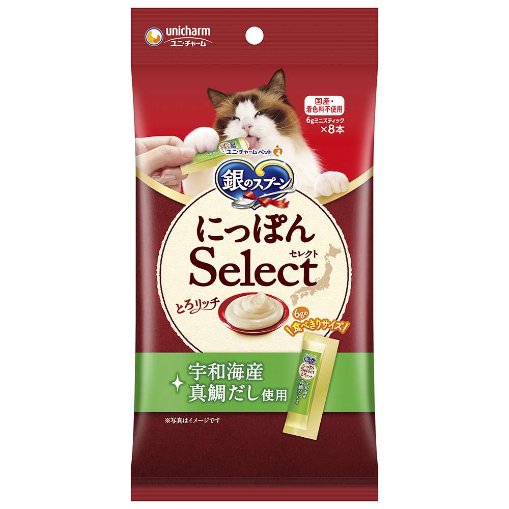 銀のスプーン　にっぽんSelect　とろりっち　宇和海産真鯛だし使用48ｇ 宇和海産真鯛だし使用48g