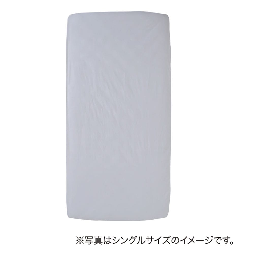 画像はシングルです。