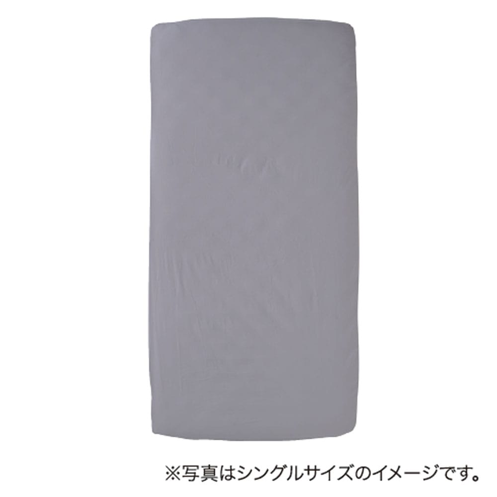 画像はシングルです。