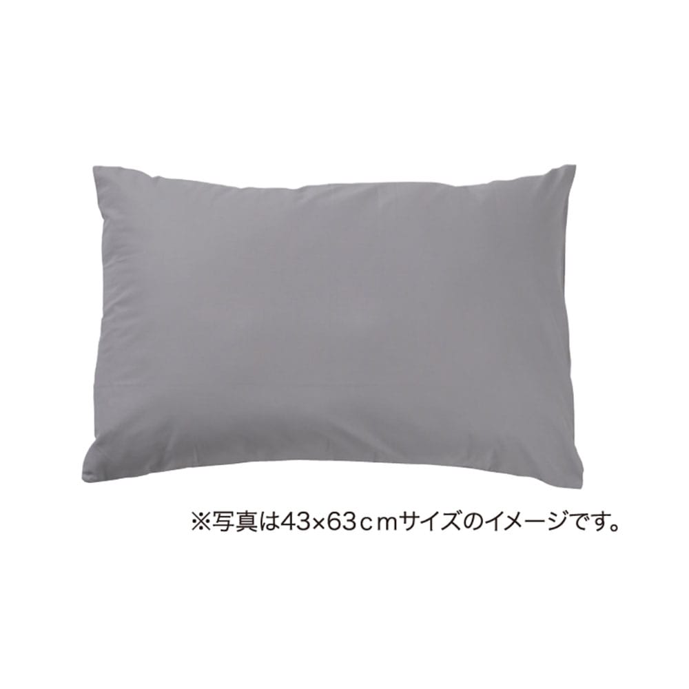 画像は43×63cmです。