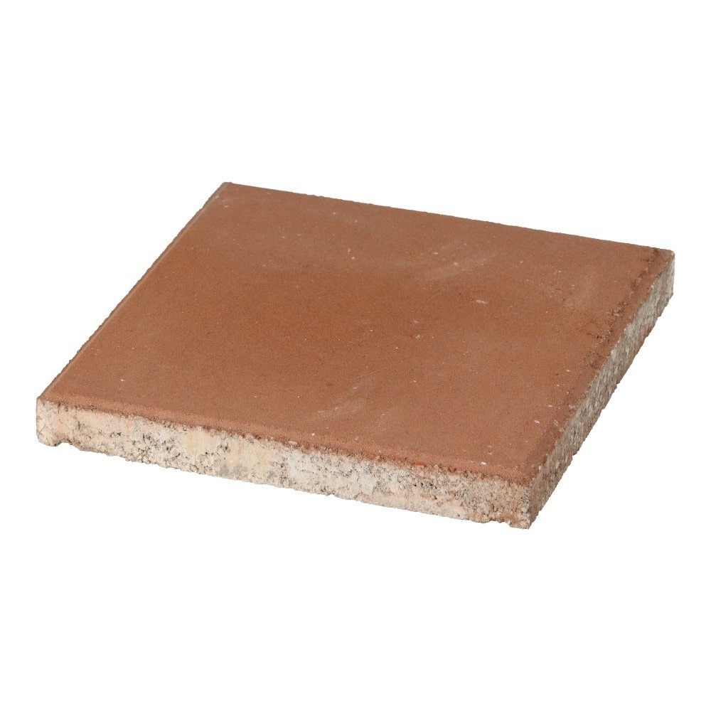 LIFELEX　カラー平板　３０ｃｍ　ＫＲ１０－３８６４－ＢＲ