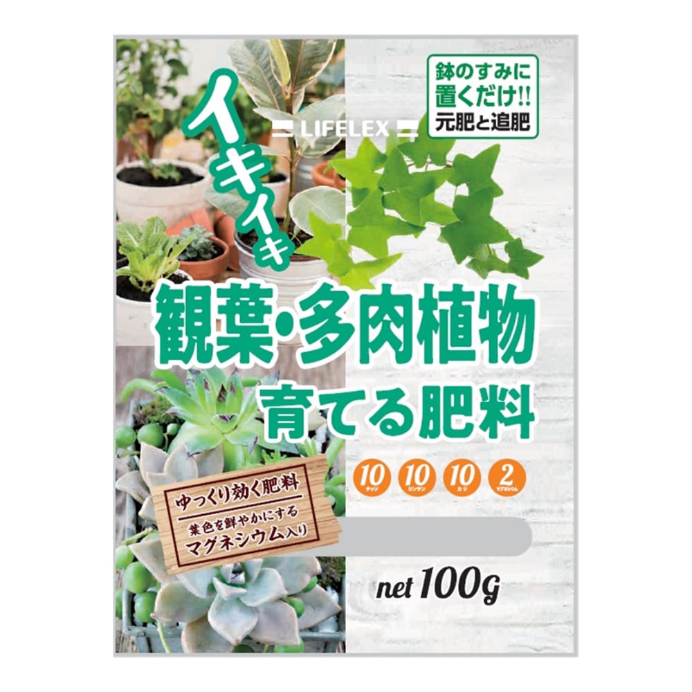 観葉多肉植物を育てる肥料 100g 多肉植物