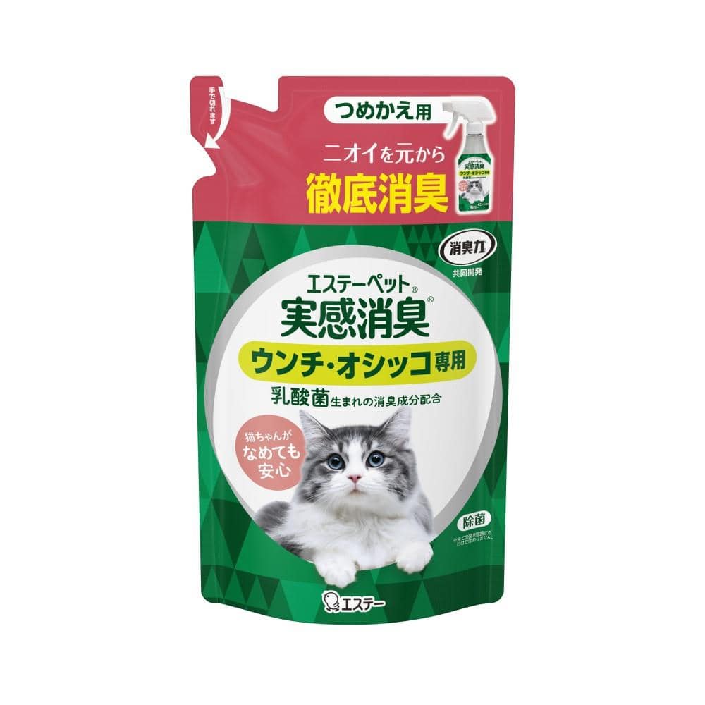 エステー　実感消臭スプレー　詰め替え　２４０ｇ 詰め替え　２４０ｇ