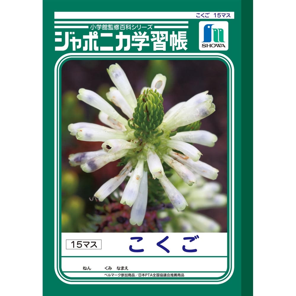 ジャポニカ　 ＪＬ－１０－１　こくご１５マス