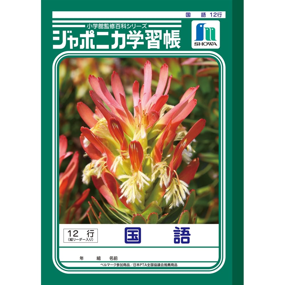 ジャポニカ　ＪＬ－１１　国語　１２行縦リーダー