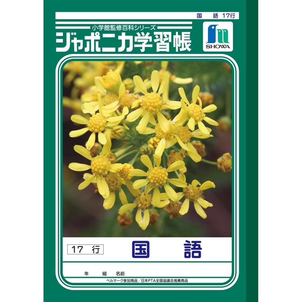 ジャポニカ　ＪＬ－１４　 国語１７行
