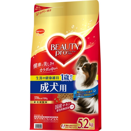 ビューティープロ　成犬用５．２kg 5.2kg