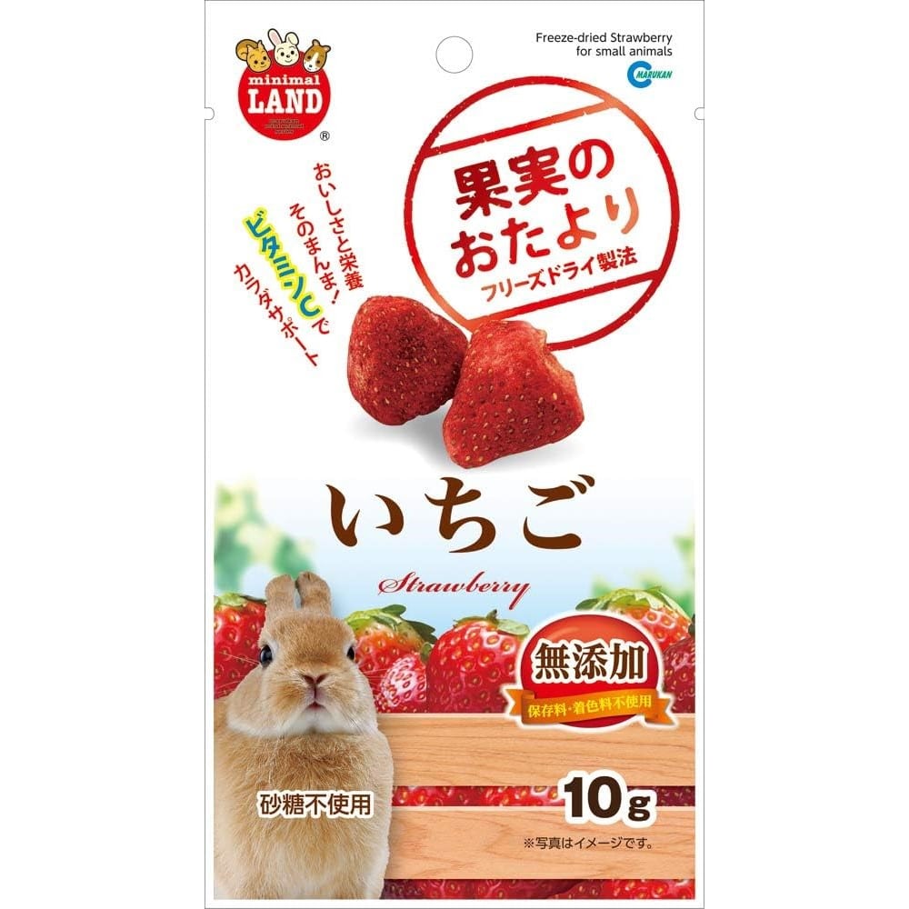 マルカン　果実のおたより いちご　１０ｇ