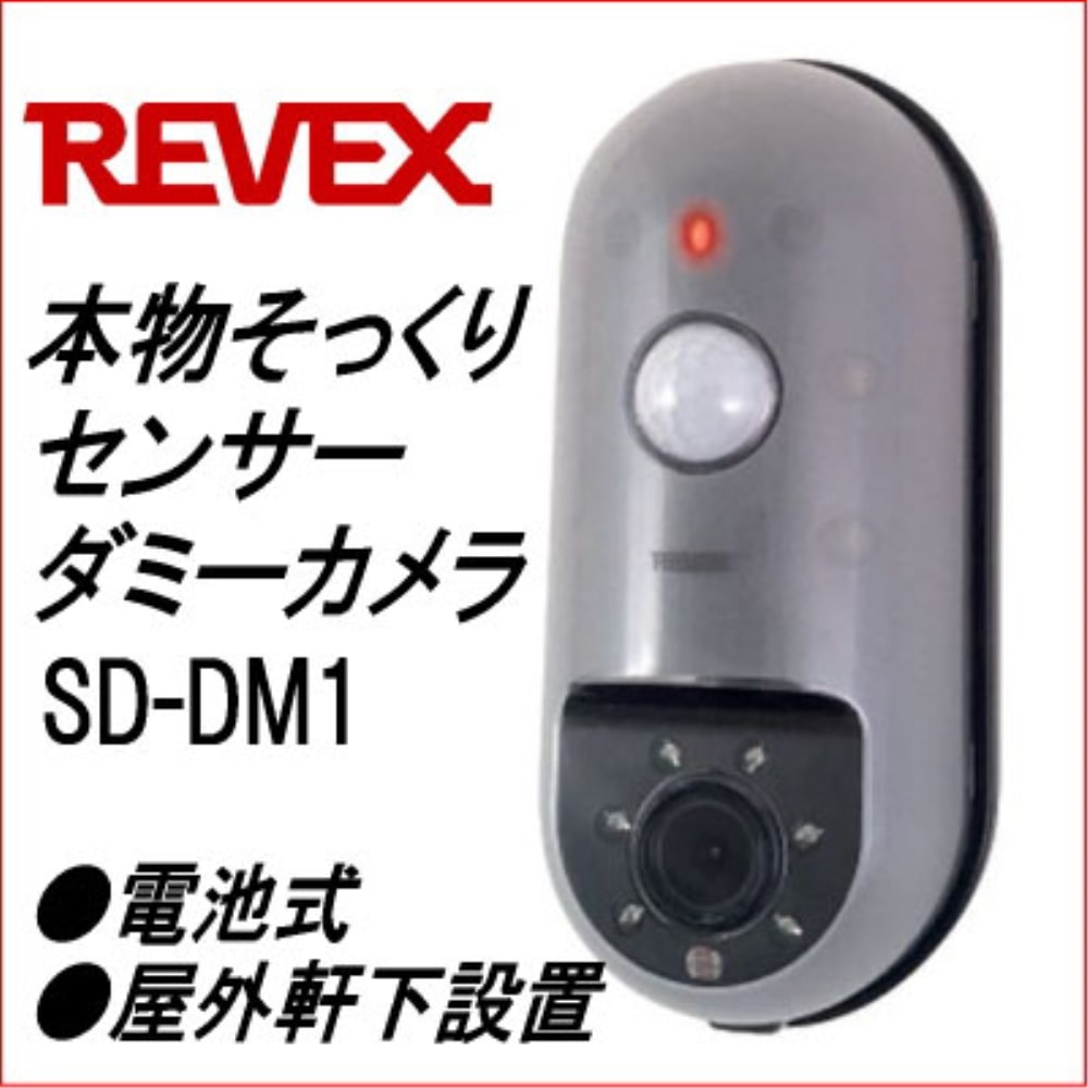 リーベックス　ダミーカメラ　ＳＤ－ＤＭ１