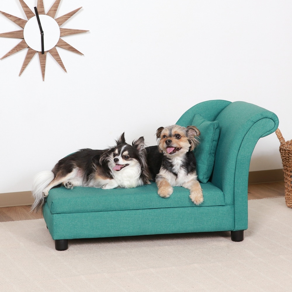 ペットカウチソファ（クッション付） GR グリーン(グリーン) ペットホームセンターコーナンの通販サイト