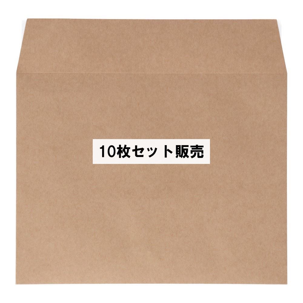 エスエス　紙Ｎｅｔ封筒　ＥＮＢ１５０Ｐ　２５０×１９５　×１０枚セット 10枚セット