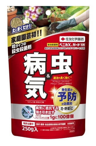 住友化学園芸 ベニカ×ガード粒剤 250g 殺虫殺菌剤