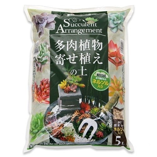 花ごころ 多肉植物寄せ植えの土 ５ｌ 園芸 農業資材 ホームセンターコーナンの通販サイト