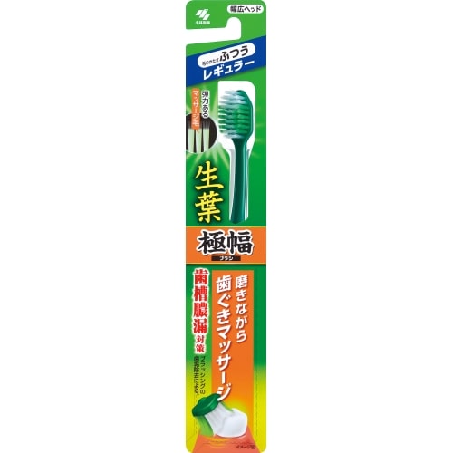 小林製薬 生葉 極幅ブラシ レギュラーヘッド ふつう 1本 ※色の指定不可