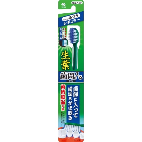 小林製薬 生葉 歯間に入るブラシ レギュラーヘッド ふつう 1本 ※色の指定不可