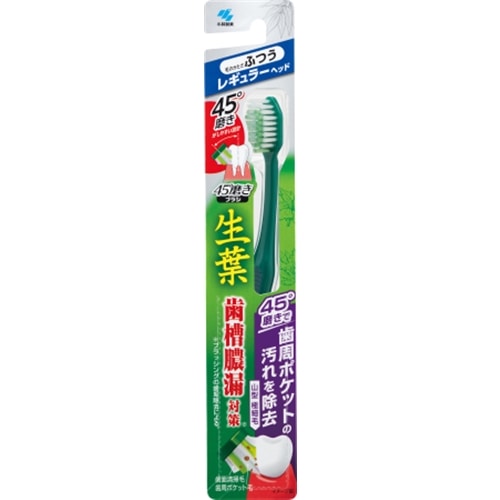 小林製薬 生葉45°磨きブラシ　レギュラー　ふつう レギュラー　ふつう