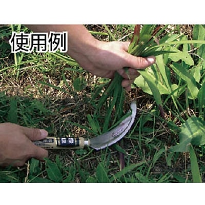 豊稔　光山作ステン金２号鋼鋸鎌（普通目）　HTS-1200 HTS-1200