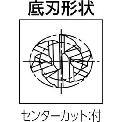 ■グーリング　マルチリードＲＦ１００ＳＦ　高能率仕上げ用６枚刃径１０ｍｍ　3631010.000 3631010
