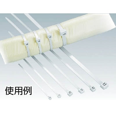 ヘラマンタイトン　ＡＢタイ　幅４．８Ｘ長さ２５１ｍｍ　１００本入　屋外用　AB250-IVY AB250-IVY