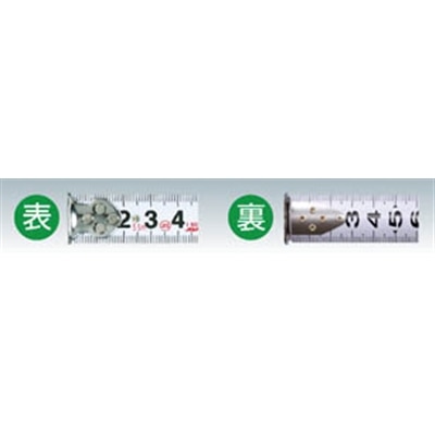 ＫＤＳ　ダブルジーステン１９巾５．５ｍ　GGS1955 GGS1955