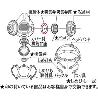■シゲマツ　交換用しめひも　DHHB410000 DHHB410000