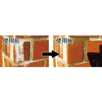 ＡＬＥＳＣＯ　復活洗浄剤　３００ｍｌ　エフロ用　414007300 414007300