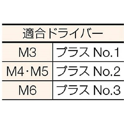 ■トラスコ中山(TRUSCO)　トラス頭小ネジ　ステンレス　サイズＭ６Ｘ１０　４１本入  B52-0610 B52-0610