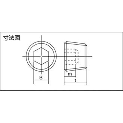 ■トラスコ中山(TRUSCO)　テーパー沈みプラグ　サイズＰＴ１　１個入  B83-0001 B83-0001