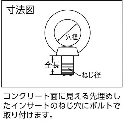 ■タケネ　アイボルト（鉄製）　TAI12022 TAI12022