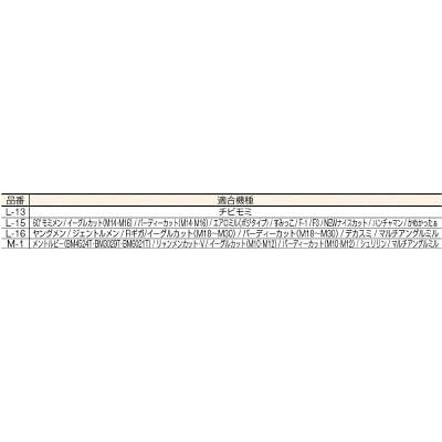 ■富士元　クランプスクリュ　全長６ミリ　Ｍ３　右　M-1 M-1